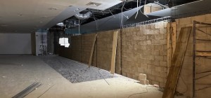 20.3.- 19-02-2025-min