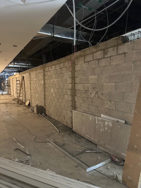 17.3.- 19-02-2025-min